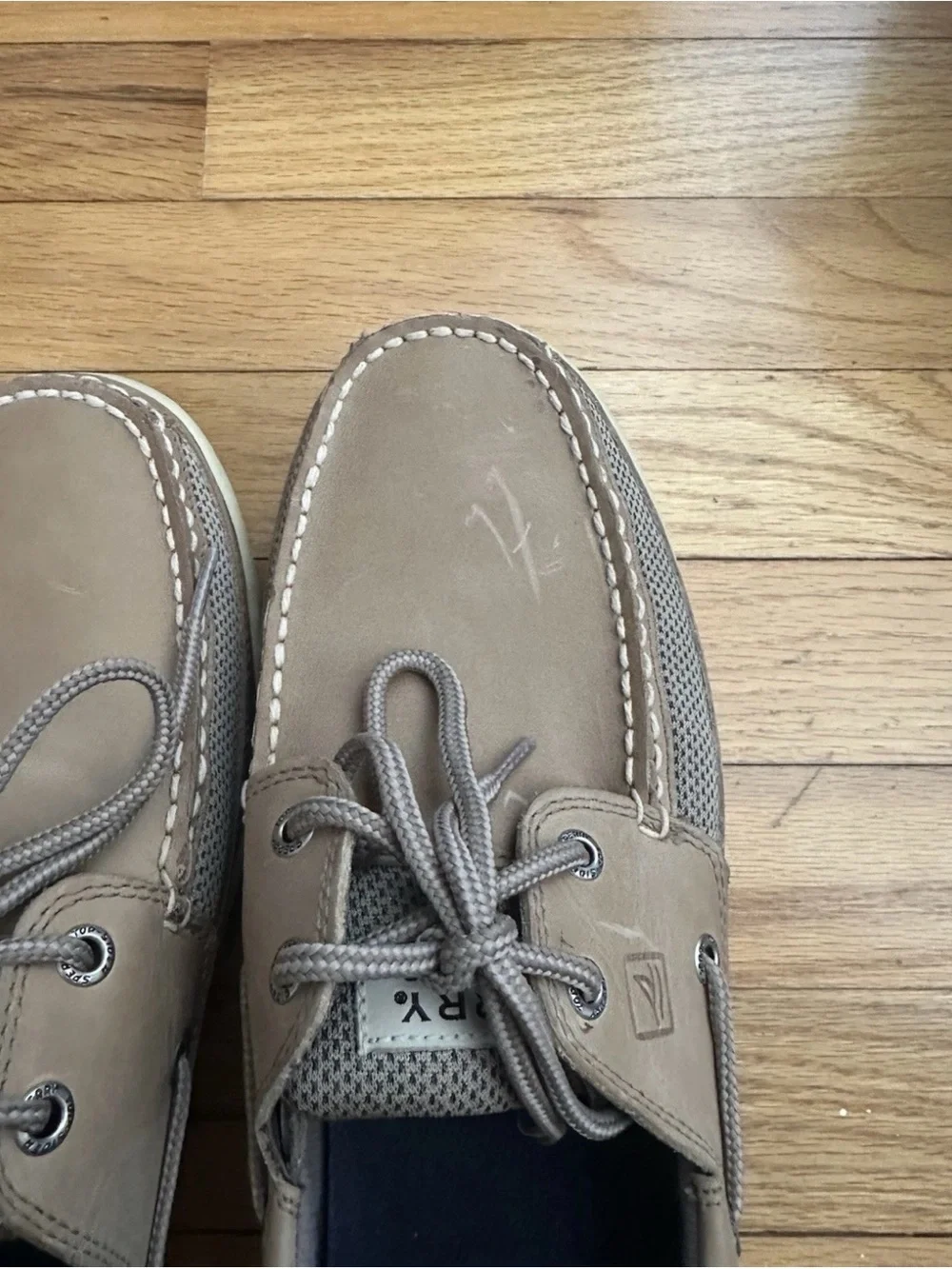 Sperry classic two
